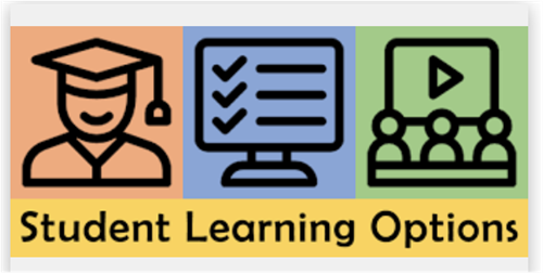 Student learning Options image 